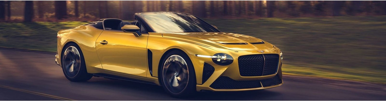 Bentley Bacalar